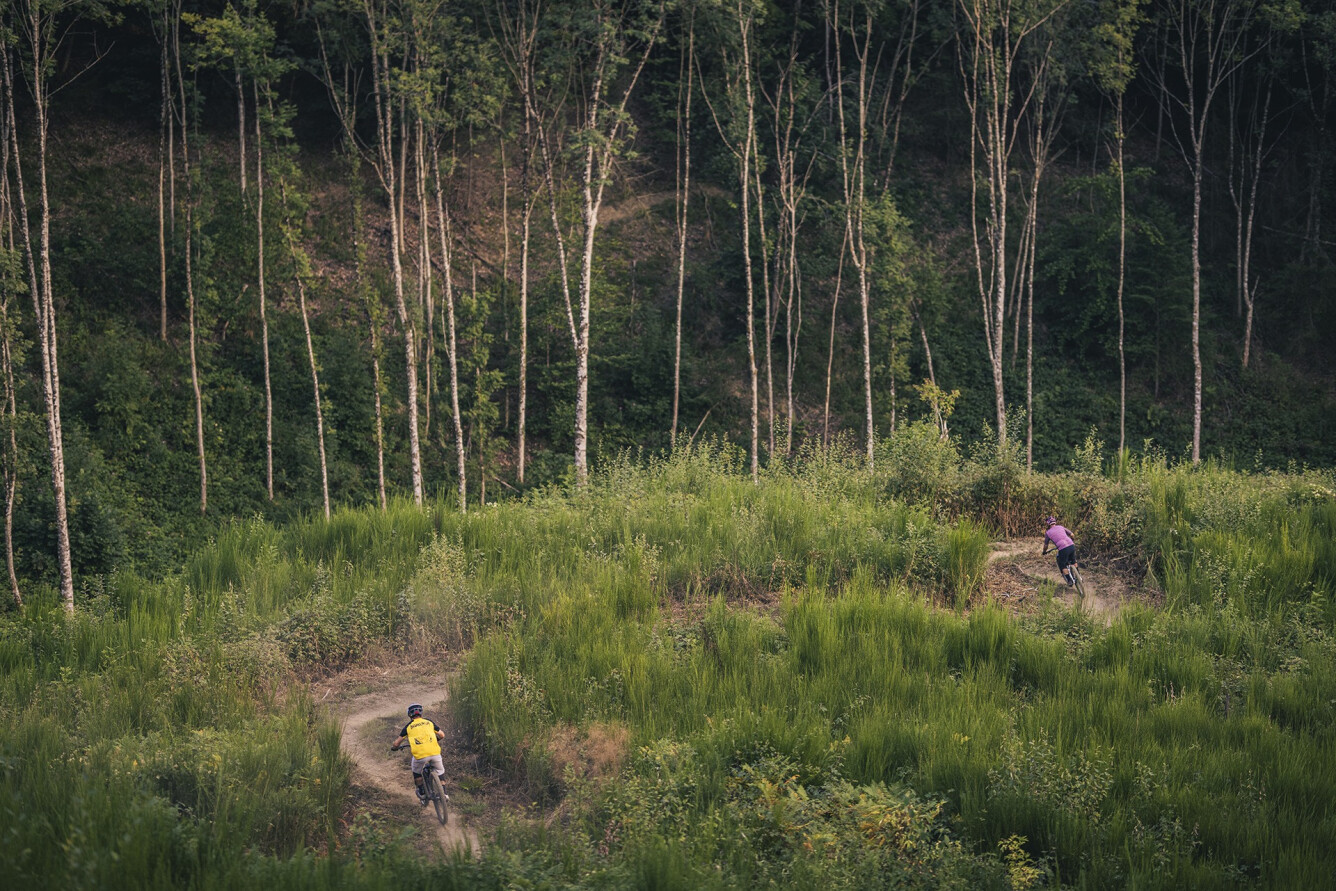 Ipar Trails