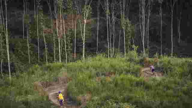 Ipar Trails
