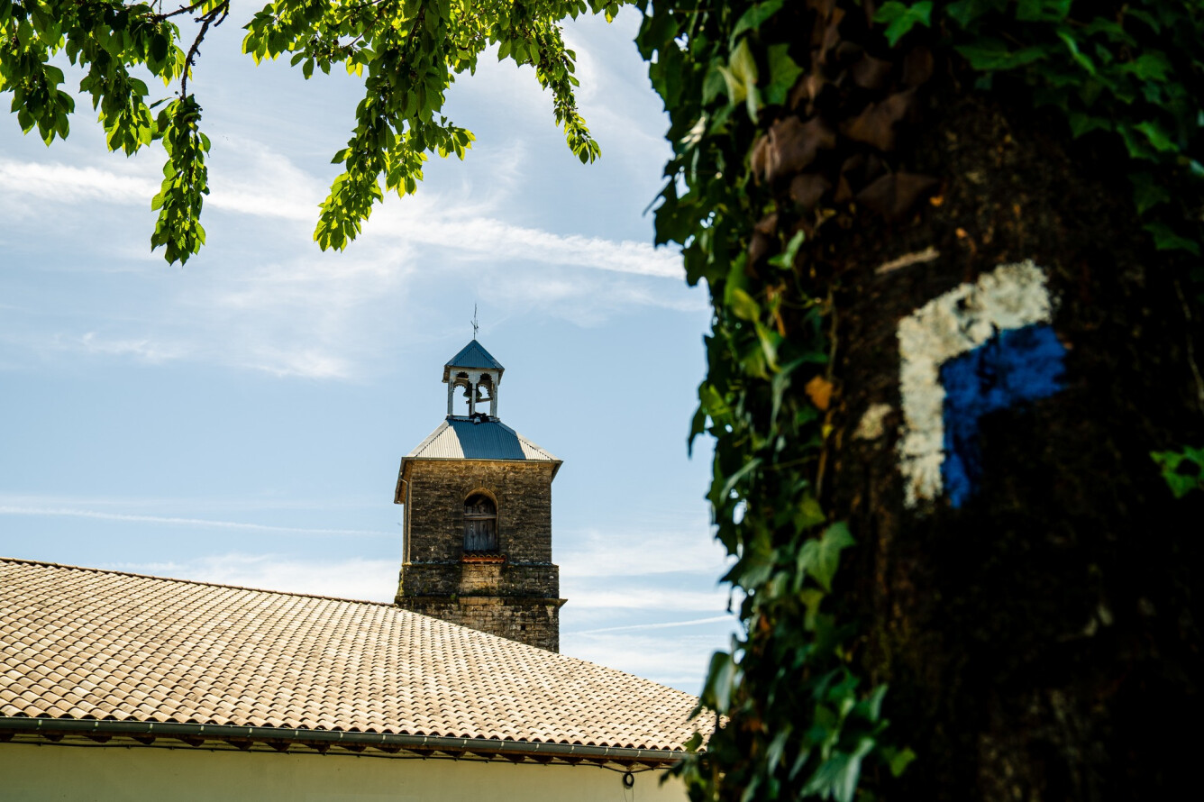 El castaña de Etxaleku