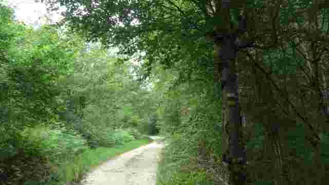 GR323 Circular route around Etxarri Aranatz