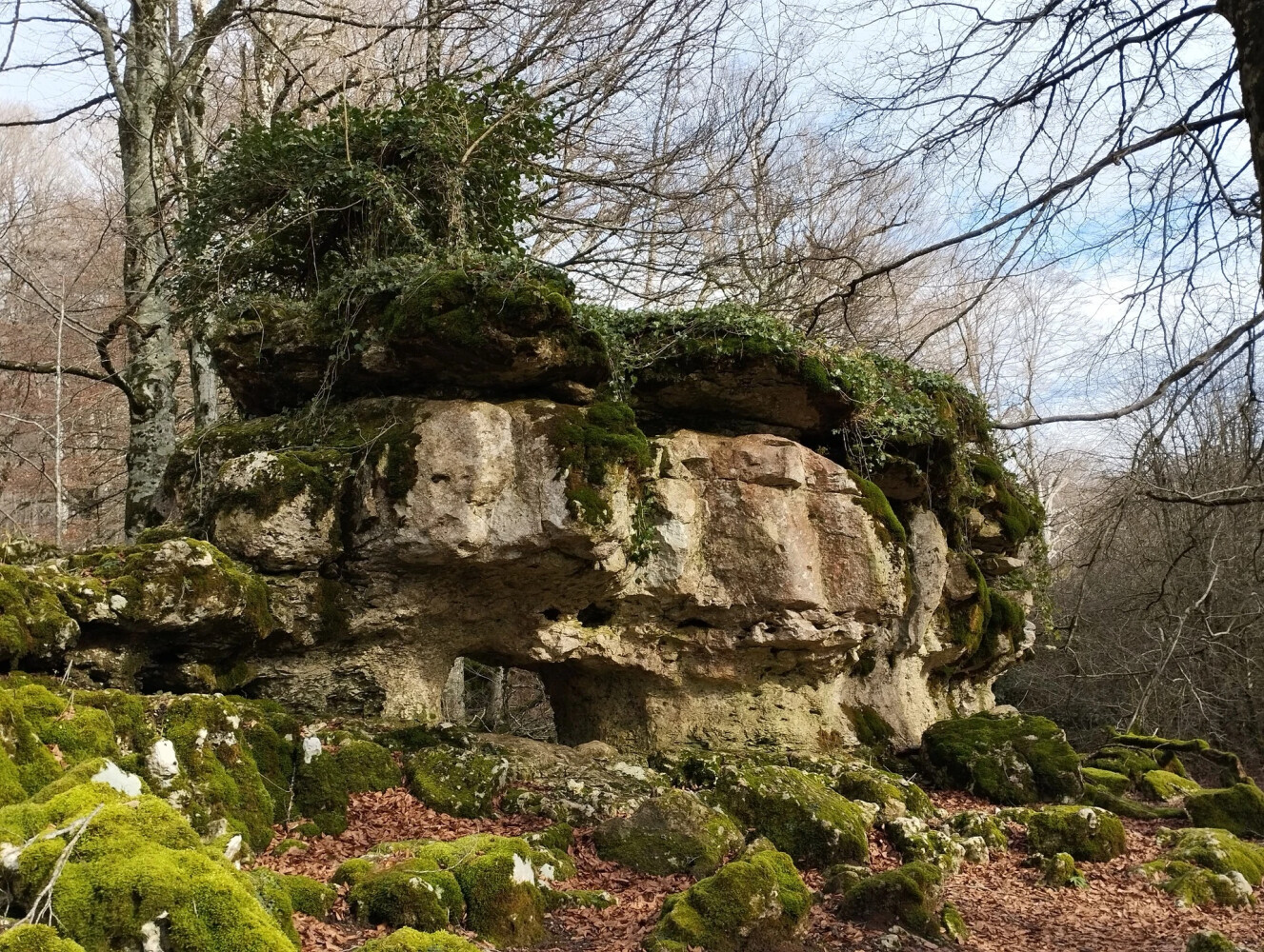 Sendero De Morterutxo. SLR-NA 290