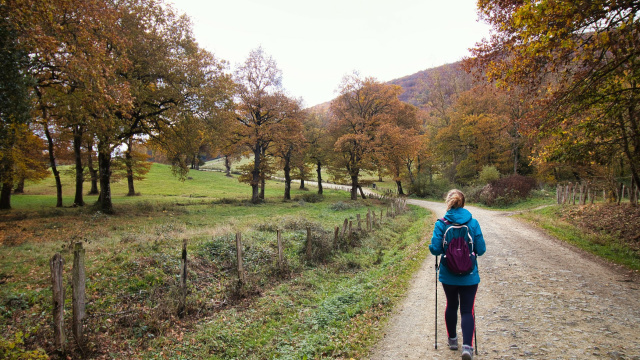 Hiking Trails
