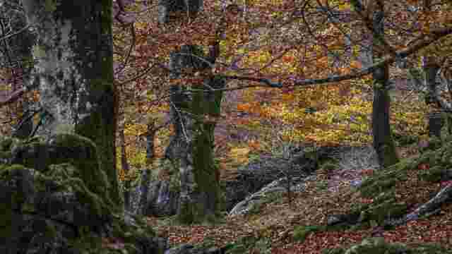 PARC NATUREL D'URBASA ET D'ANDÍA